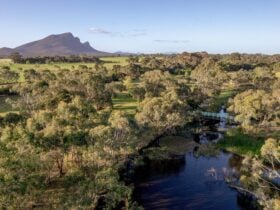 A scenic view of the arboretum with a flowing body of water and mountains in view