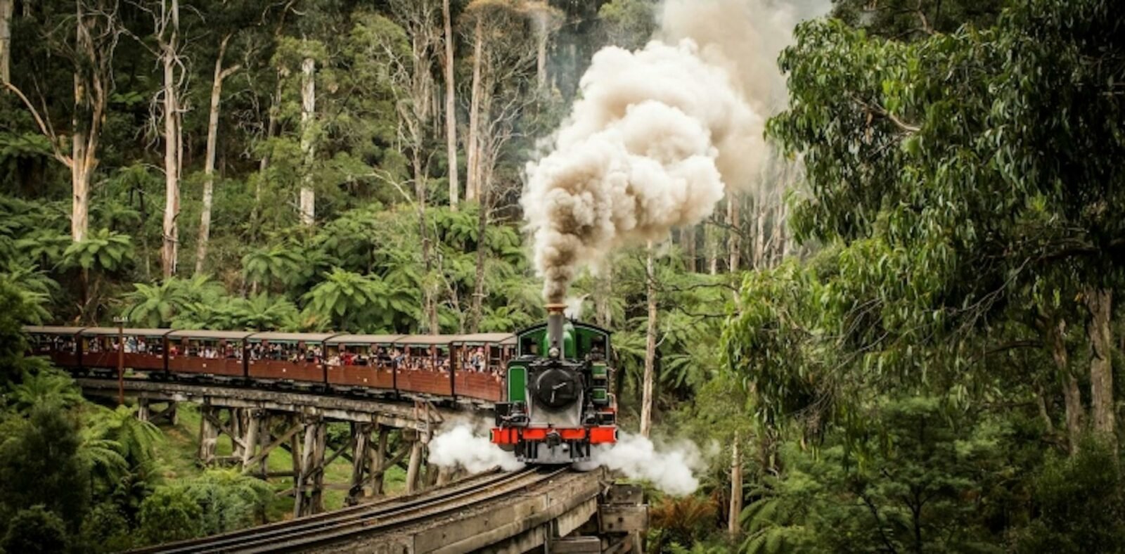 Eastern Dandenong Ranges Trail, Emerald, Gembrook visityarravalley.com.au