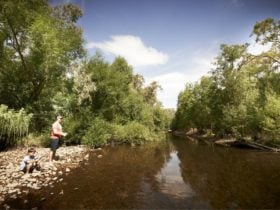 Family fishing in edi / edi cutting