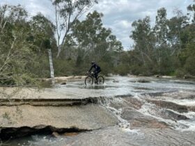 Cyclist on cement bridge going through creek, flowing creek in foreground, trees