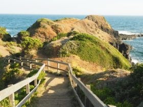 Blowhole Track