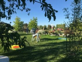 Flying Goolie garden