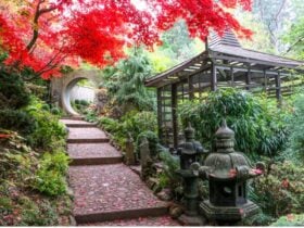 Autumn at Forest Glade near the Japanese gardens