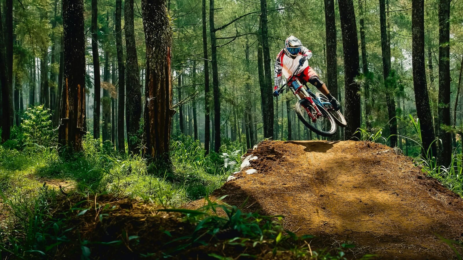 Person on a bike on a track surrounded by forest