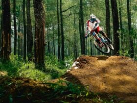 Person on a bike on a track surrounded by forest