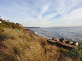 Sea wall at Fosters Beach (dog friendly), Mornington