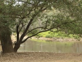 Camping and Holiday Parks Riverside