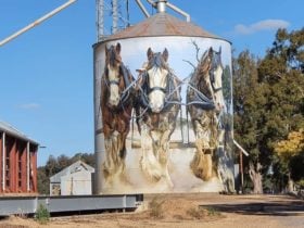 Goorambat Silo Art
