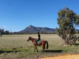 Person sitting on a horse with the Grampians National Park in the background