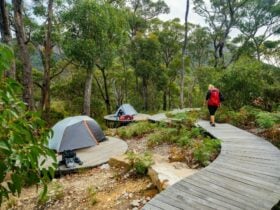 Tents at hike in camp