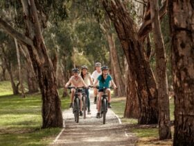 Great Victorian Rail Trail