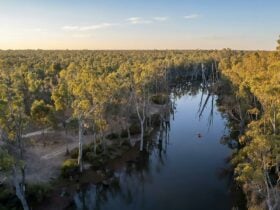Gunbower Island Canoe Trail