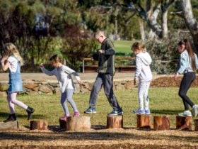 children walking across wooden logs