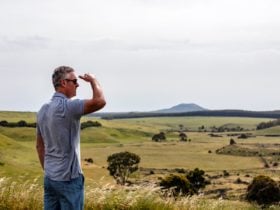 Harman's Valley Lookout