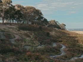 Bike Rider riding along a curved bike path in the hills of Latrobe Valley