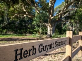 Herb Guyatt Sanctuary
