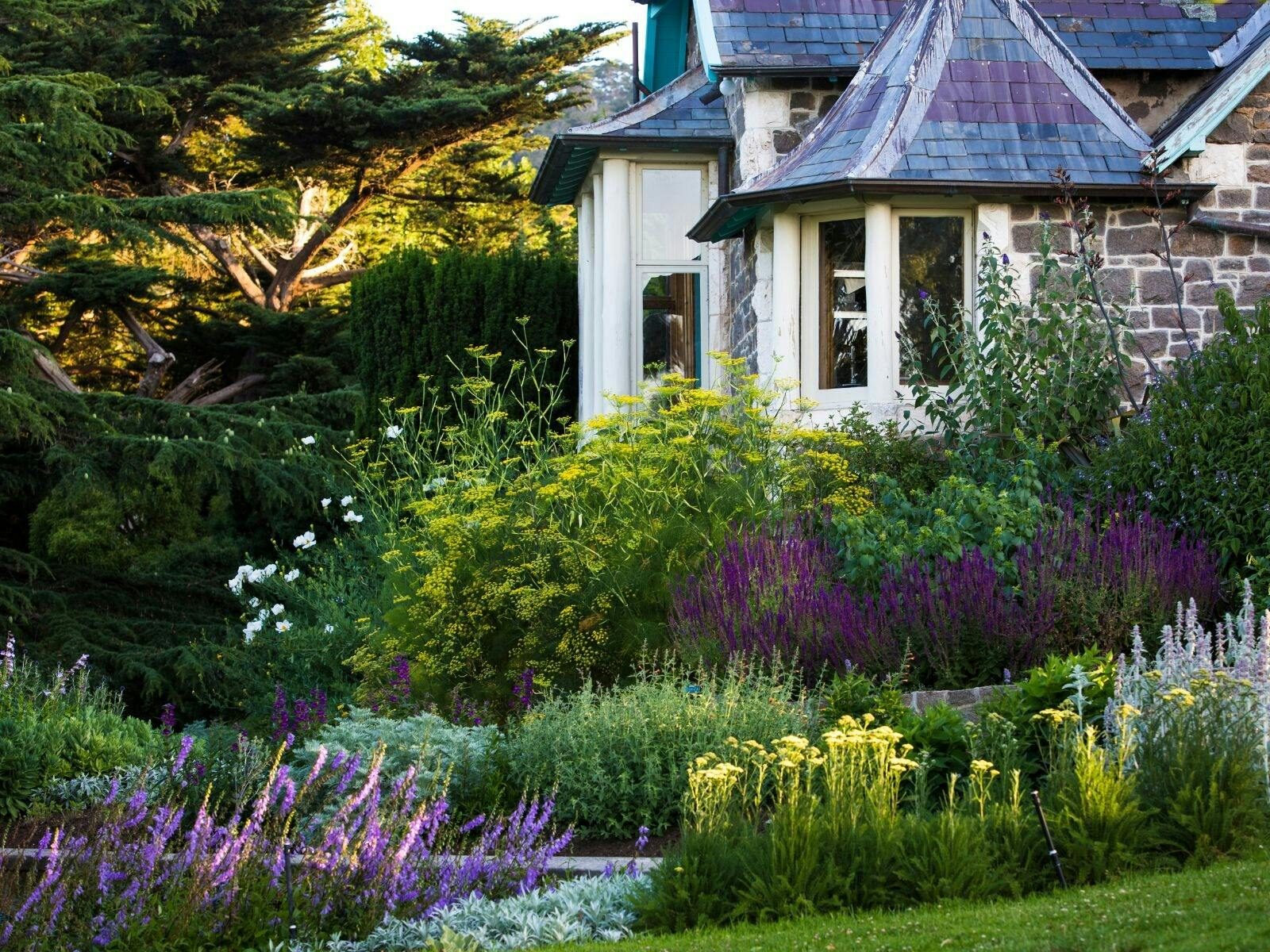 Hersonwood House and green, white and purple garden border with garden path
