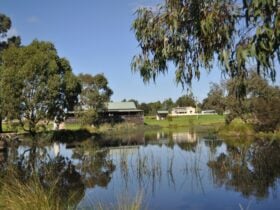Heyfield Wetlands