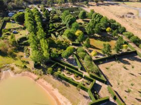 Our gardens