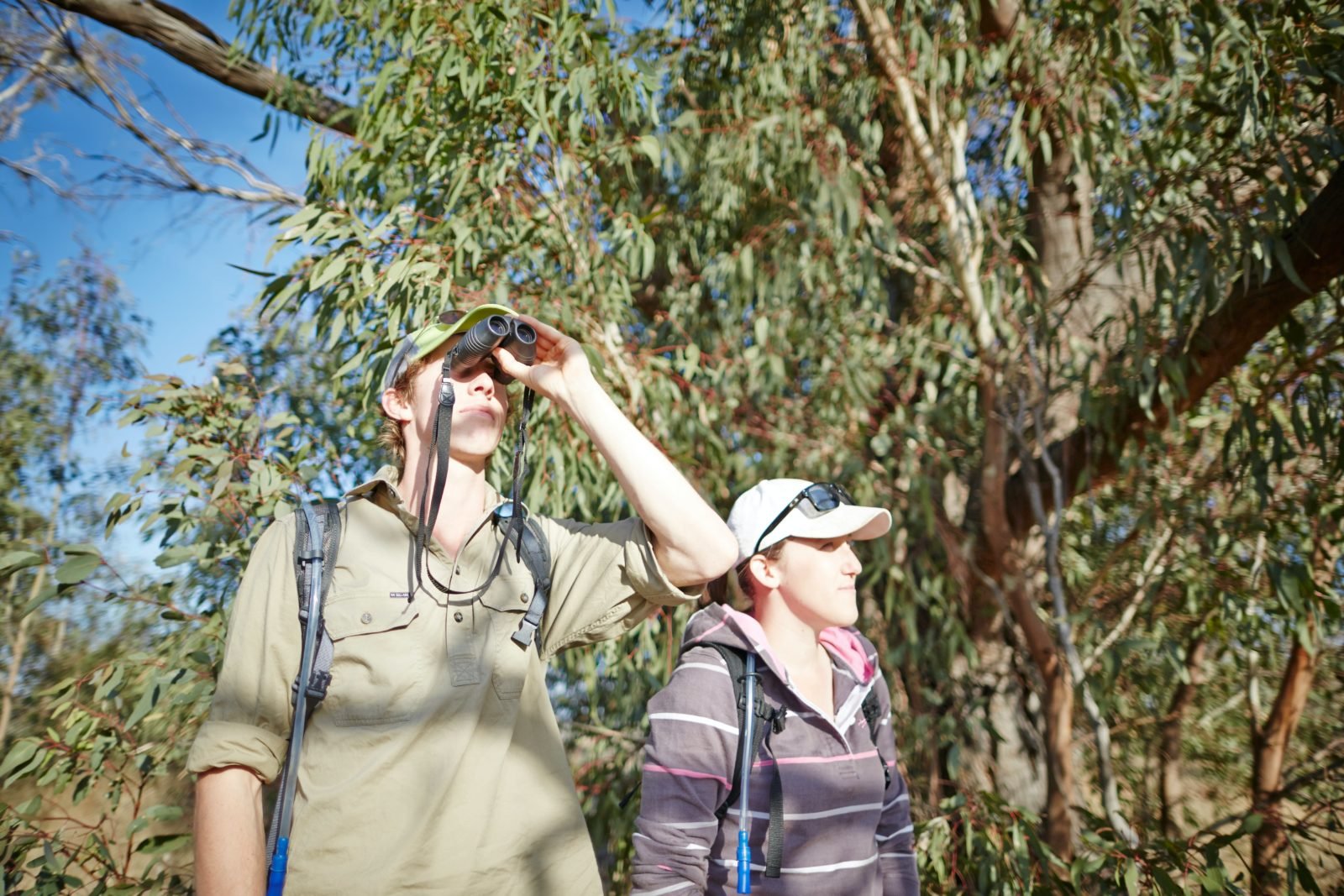 Walking Winton Wetlands