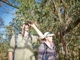 Walking Winton Wetlands