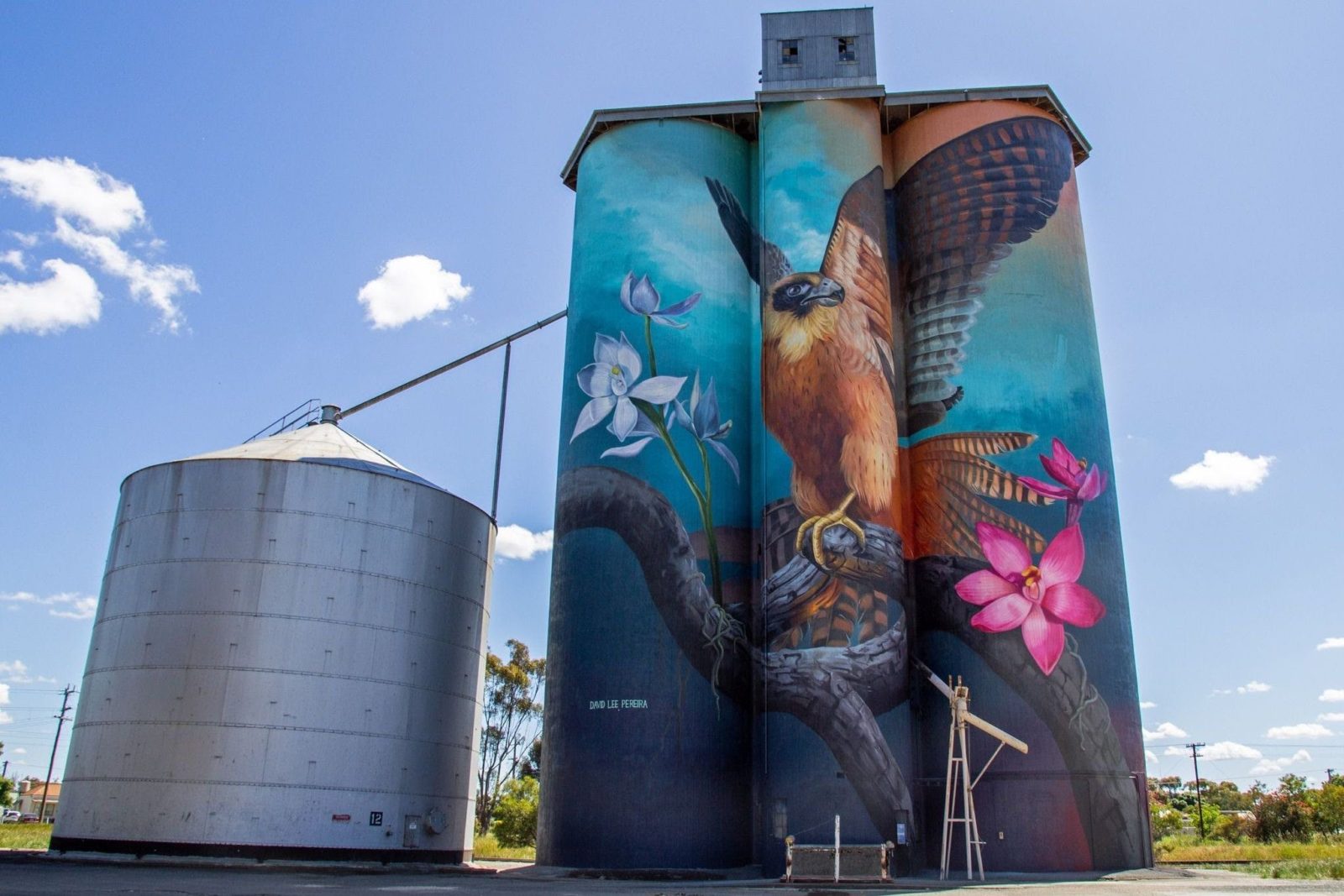 Kaniva Silo Art