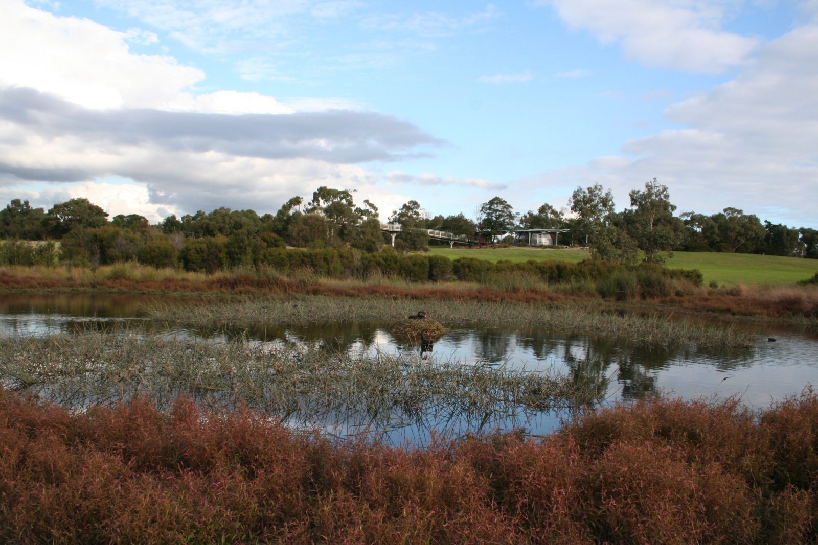 Karkarook Park