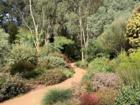 Karwarra June 2021