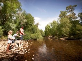 Family Fishing along the King River