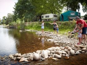 Family fishing in the King River