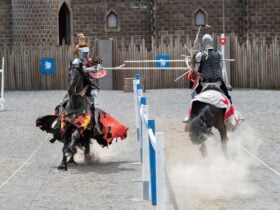 Jousting in the Arena