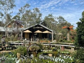 Kuranga Native Nursery
