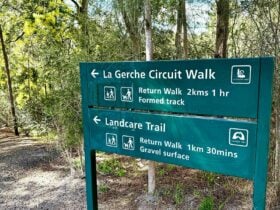 La Gerche Forest Loop Walk