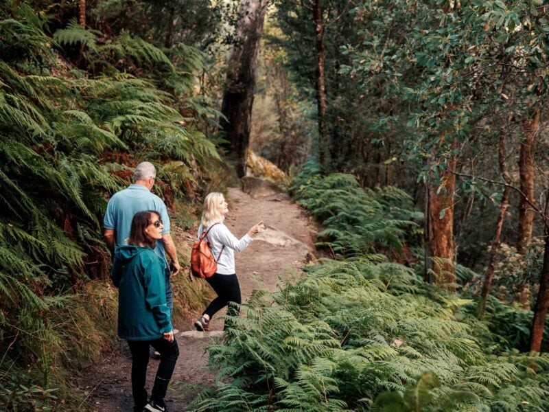 Eurobin Falls Walk