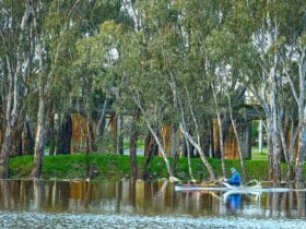 Water activities Lake Benalla