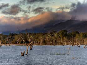 Lake Fyans