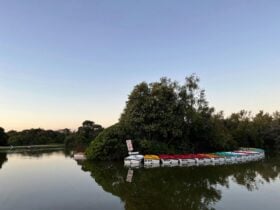 Lake Pertobe Motor Boats