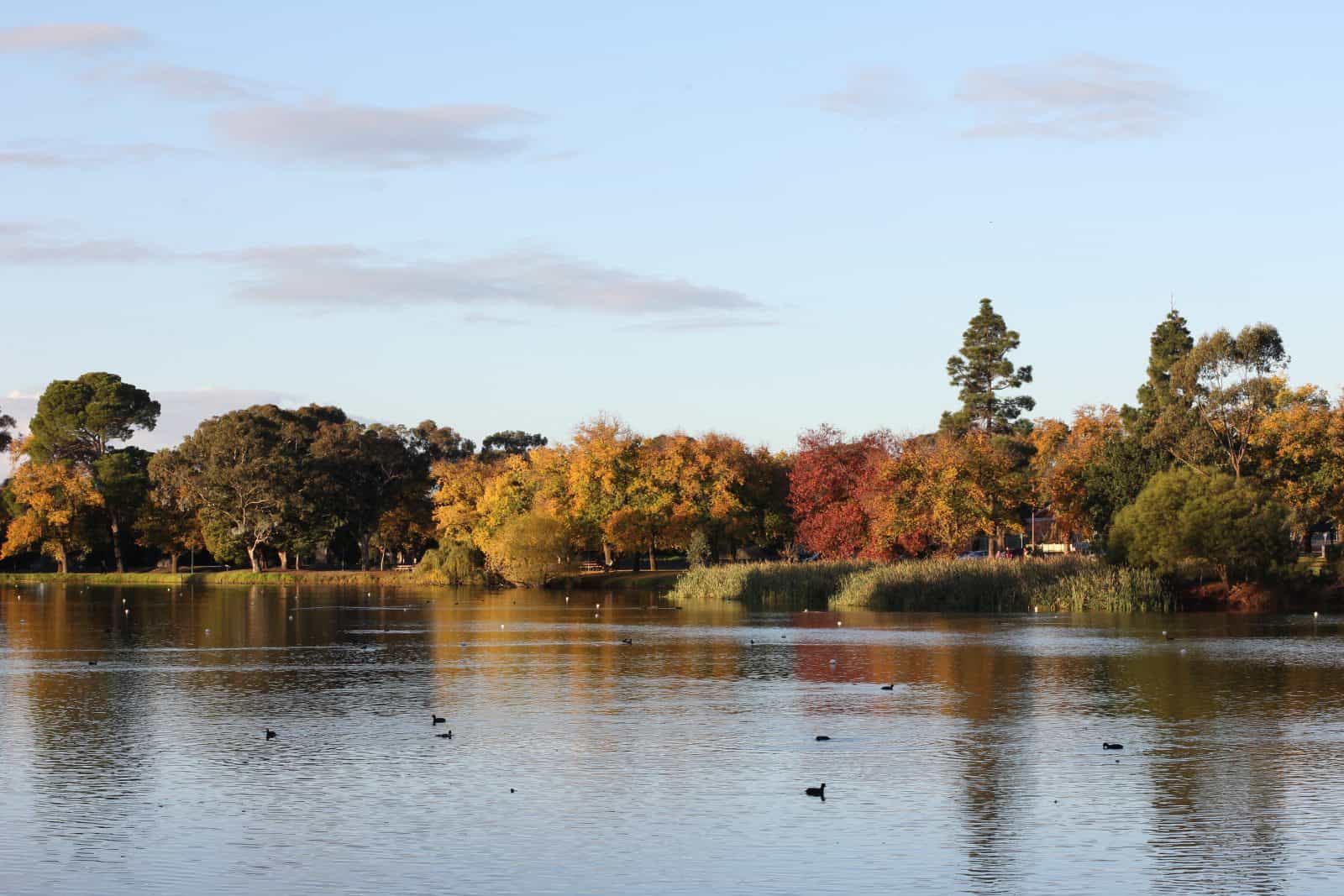 Lake Weeroona