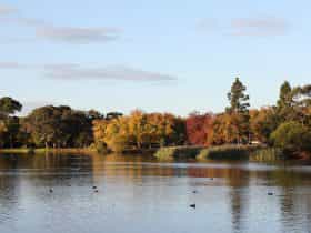 Lake Weeroona