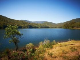 Lake William Hovell