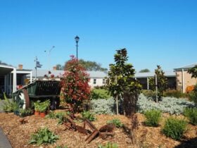 Lara Museum grounds