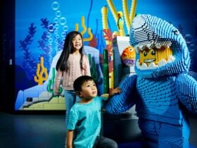 Lego Shark