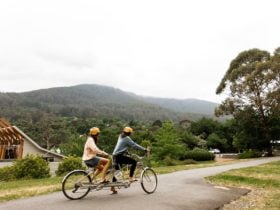 2 people on a tandem bike on the Warburton Rail Trail