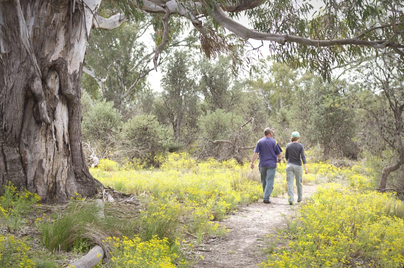 Little Desert National Park