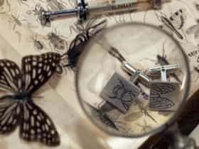 Cicada cufflinks by Katzinka Tschierschky