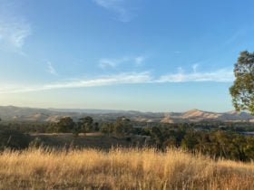 Lucky Mine Lookout