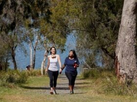 Lysterfield Park Lake Track, visityarravalley.com.au