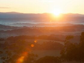 Trig Point, Lysterfield Park, visityarravalley.com.au