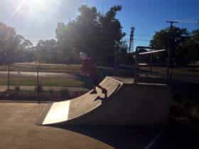 Skate Park quarter