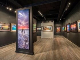 Mornington Photography Gallery